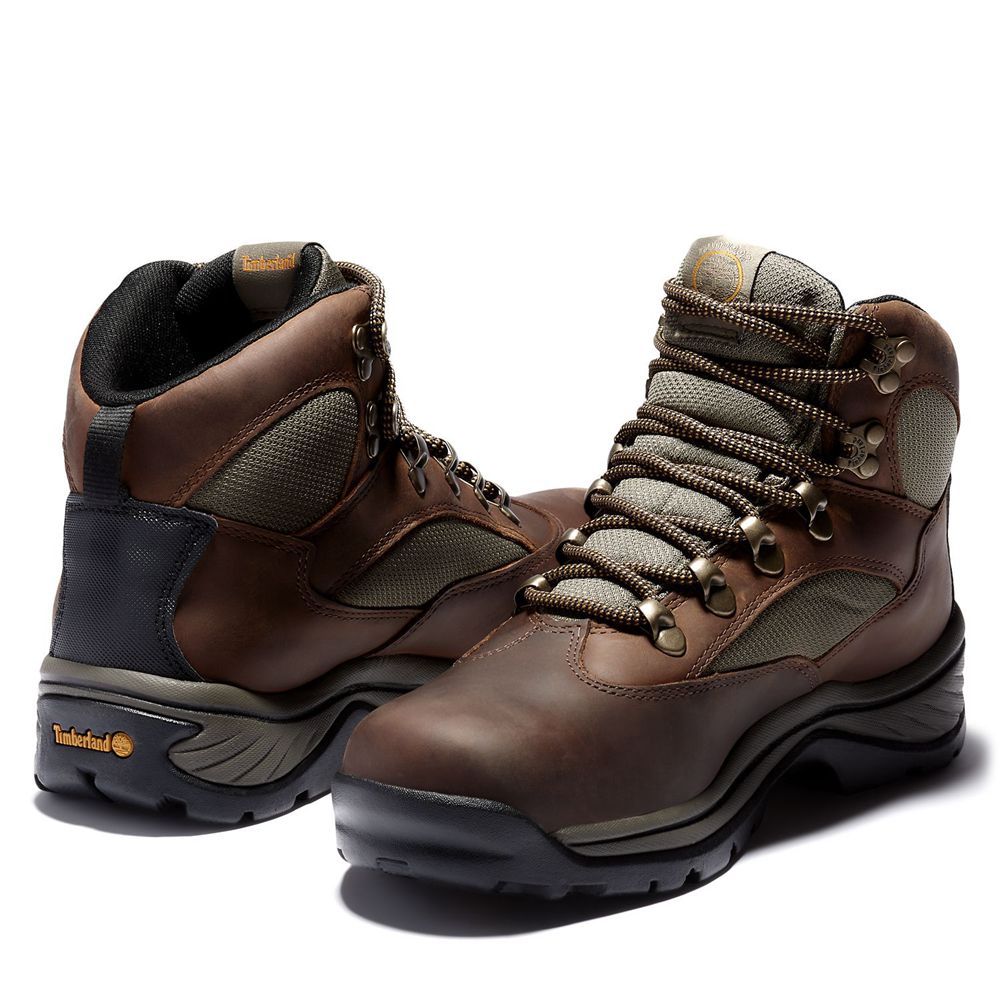 Timberland Womens Hiking Boots Chocorua Trail Mid Waterproof - Dark Brown - India BW0371582